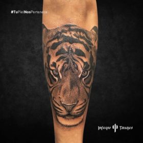 tatuaje de tigre, tatuaje de tigre en el antebrazo, tatuajes en el antebrazo, infierno tatuajes, estudio de tatuajes