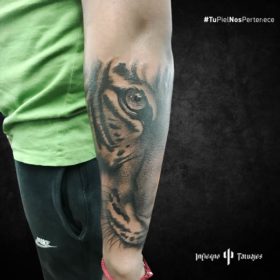 tatuaje de tigre, tatuajes en el brazo, imágenes de tatuajes en el brazo, tatuajes de tigres, infierno tatuajes