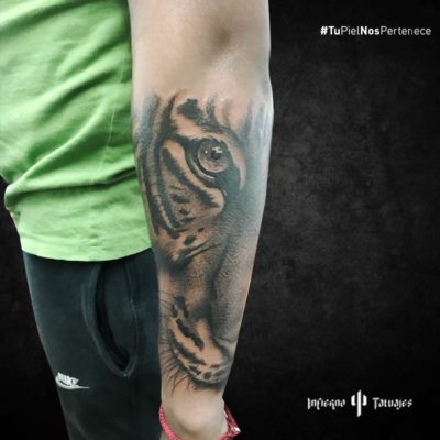 tatuaje de tigre, tatuajes en el brazo, imágenes de tatuajes en el brazo, tatuajes de tigres, infierno tatuajes