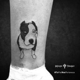 tatuaje pitbull, tatuajes de perros, tatuajes en la espinilla, tatuadores sur df, infierno tatuajes