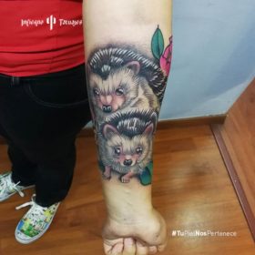 Tatuaje de puerco espín – Creado por Christopher | Infierno Tatuajes