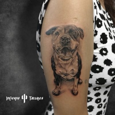 Tatuaje de perro en el brazo – Creado por Paula | Infierno Tatuajes