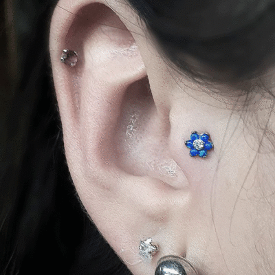 Piercing Tragus ¡Cotiza tu perforación ahora! Piercing Tragus (Oreja)