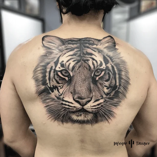 tatuaje grande en espalda de tigre en sombras, mejores tatuadores CDMX, infierno tatuajes, toykbrown