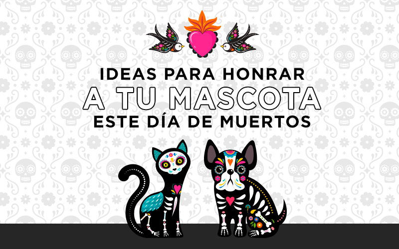 TATUAJES PARA HONRAR A TU MASCOTA ESTE DÍA DE MUERTOS