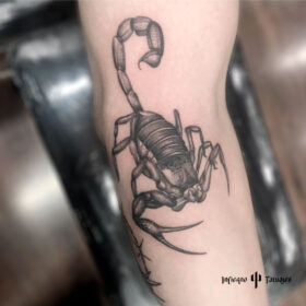 tatuaje de alacrán en blanco y negro