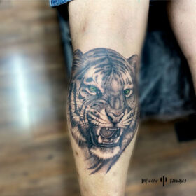 tatuaje grande de tigre en pantorrilla en blanco y negro