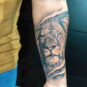tatuaje de leon realista en blanco y negro, mejores tatuadores CDMX, infierno tatuajes, toykbrown
