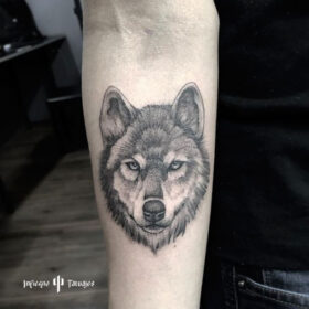 tatuaje de lobo en antebrazo en sombras, mejores tatuadores cdmx, mejor estudio de tattoos df, infierno tatuajes, idea de tatuaje para hombre