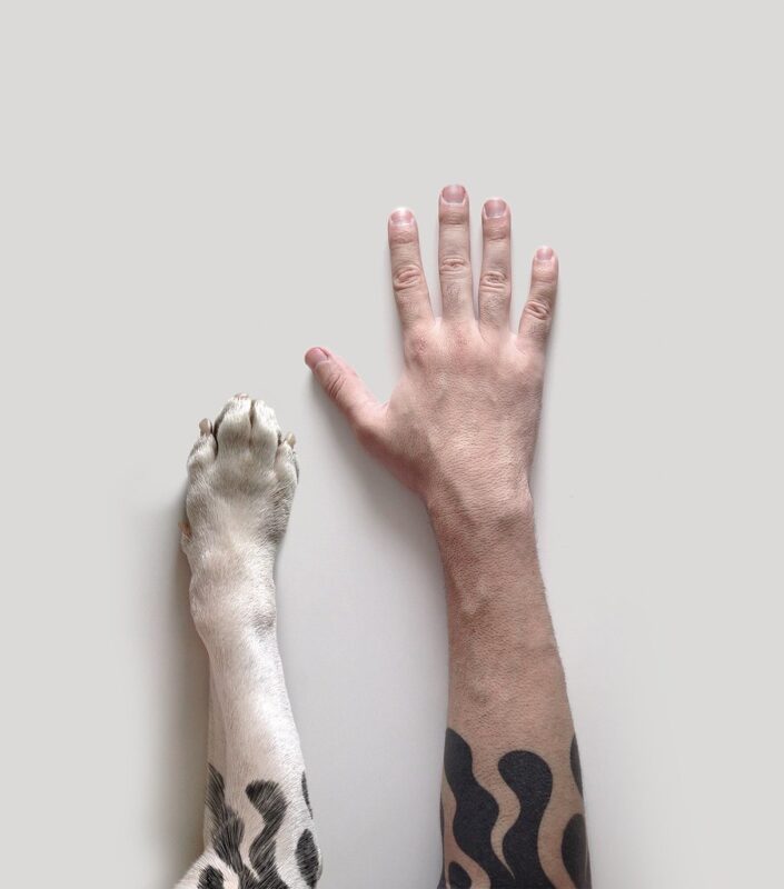 tatuaje patrón de manchas de tu perro