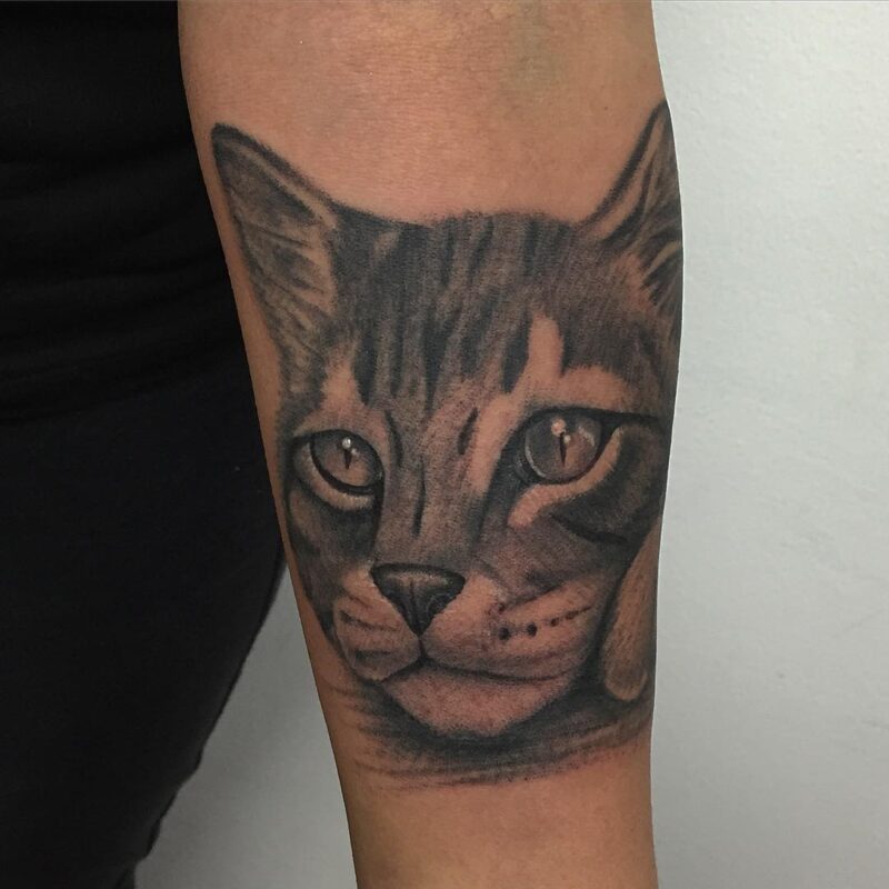 tatuaje de gato a blanco y negro