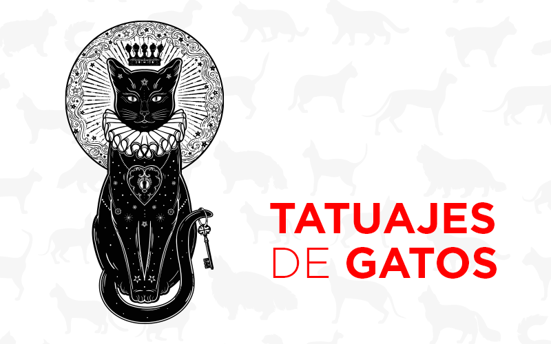 Tatuajes de gatos