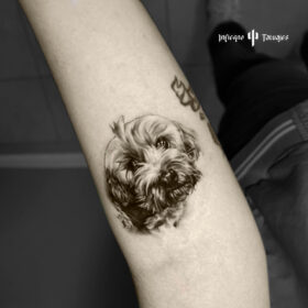 tatuaje perro realista en sombras antebrazo