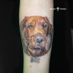 tatuaje realista perro labrador color cafe antebrazo