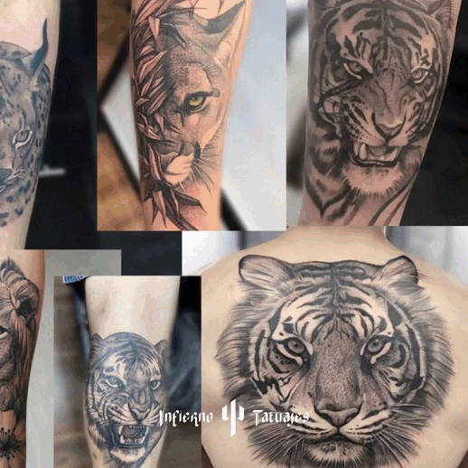 tatuaje tigre, puma,gatos infierno tatuajes