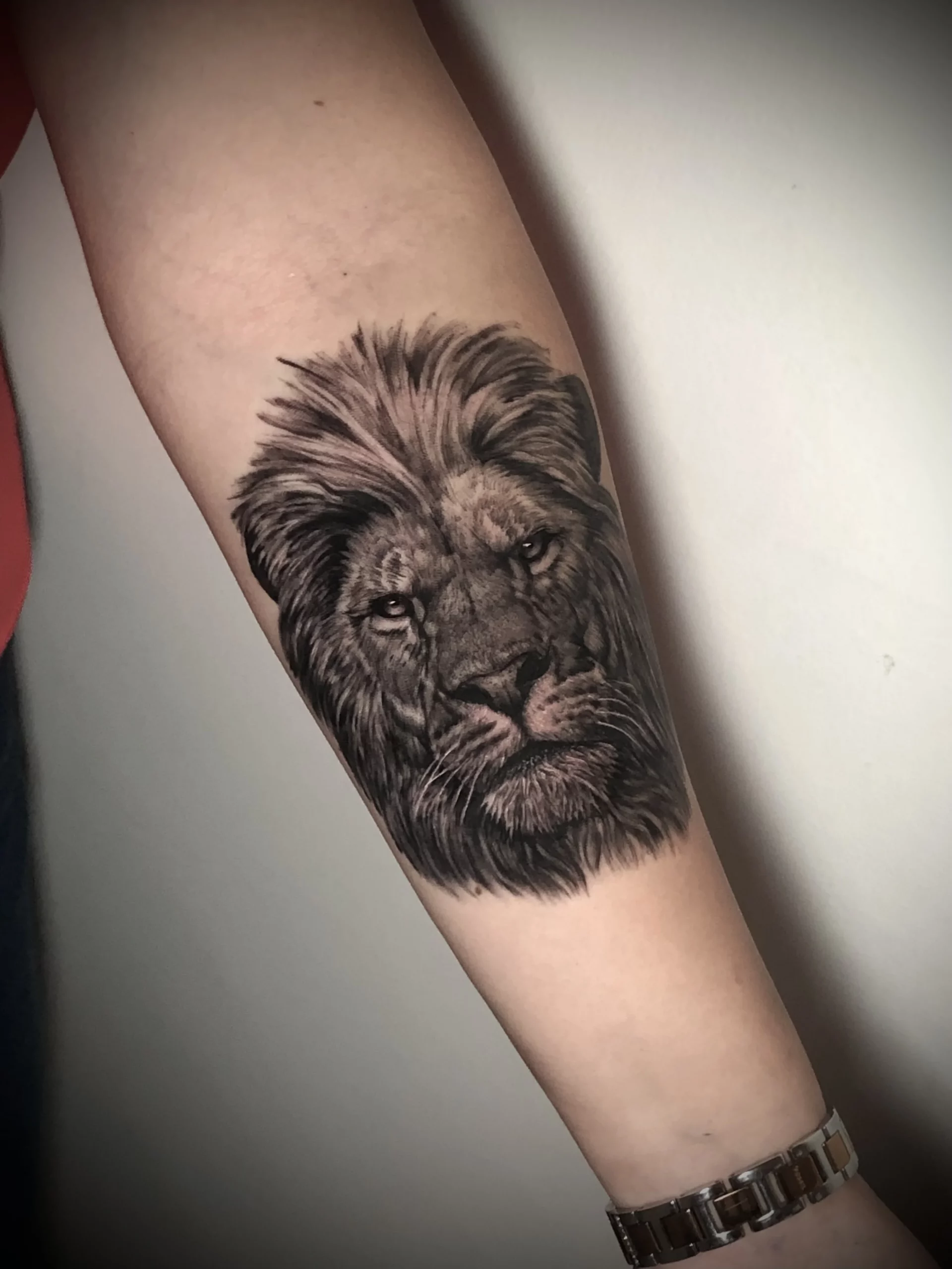 tatuaje cabeza de león realismo antebrazo