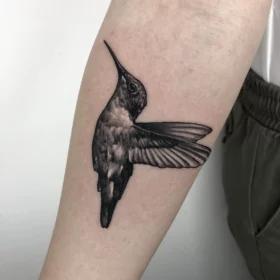 tatuaje colibrí pequeño en sombras antebrazo