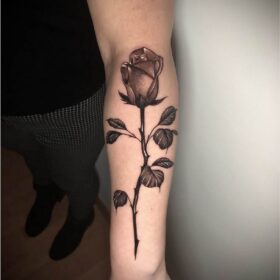 tatuaje de rosa realista en brazo en sombras